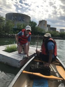 Harbor School students pull oyster cages out of the Inlet
