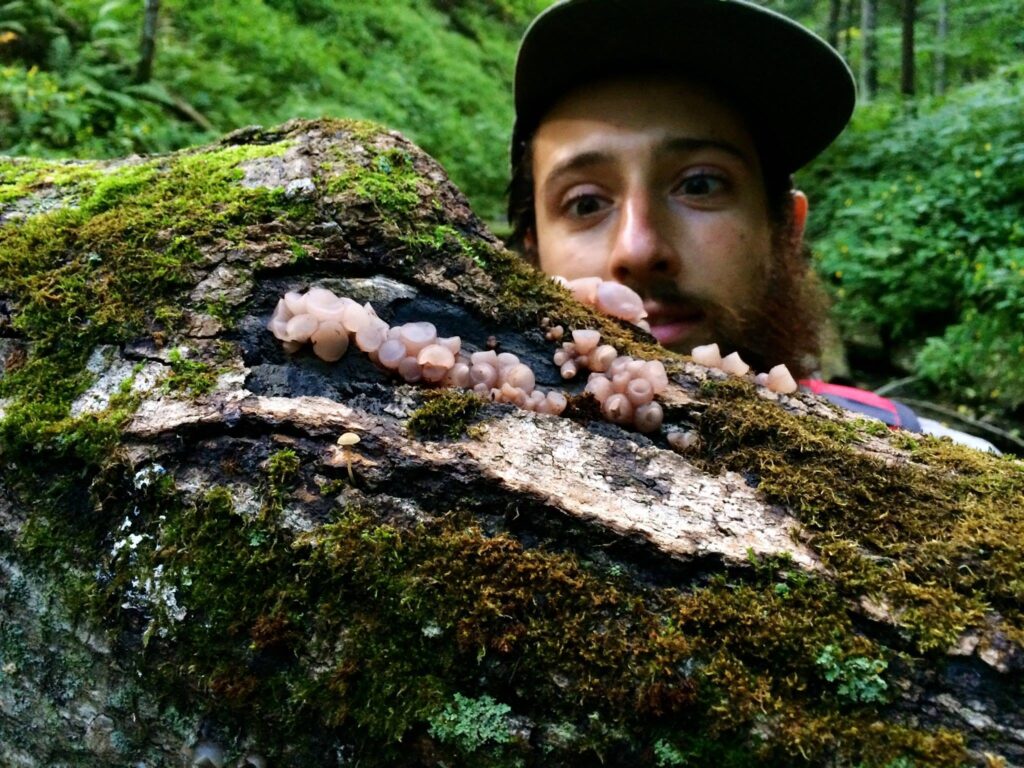 Luke observing a log mushroom growth close up