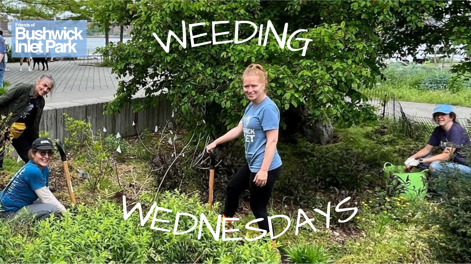 Weeding Wednesdays